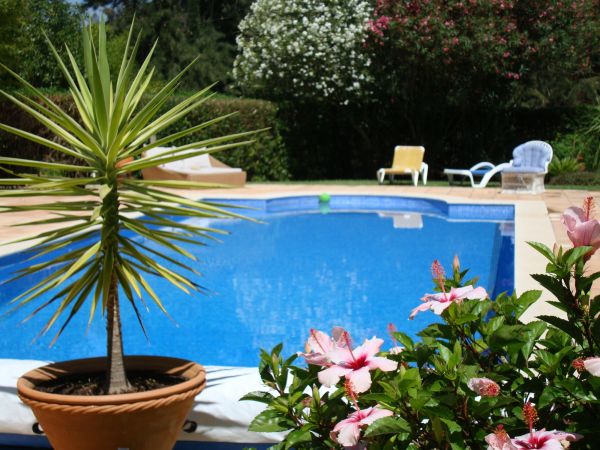 Cost of Pool Terrace Renovation in Fernandina Beach